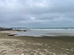 -硇洲岛旅游区