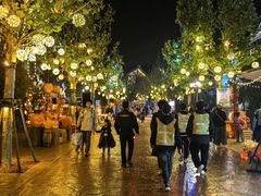 -郑州方特梦幻王国