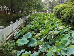 -丝绸小镇荻港古村