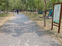 -西青郊野公园