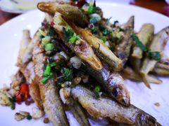 -全乐鱼馆·淳牌有机鱼直营店