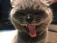 -佳雯宠物医院(金华南路分院)