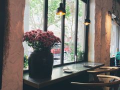 -Apollo·西班牙小酒馆(安福路店)