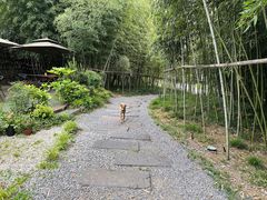 -村理食堂(小茅山脚店)