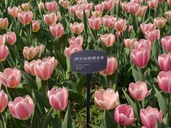 -国家植物园