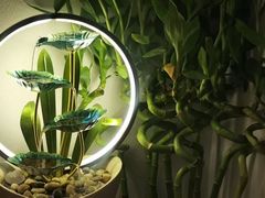 -沐森 •疗愈头疗馆(打浦桥店)