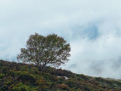 -灵山