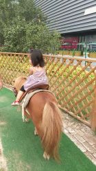 -萌宠亲子动物乐园(槐房万达店)