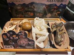 -芸山季·云南野生菌火锅(人民广场来福士店)