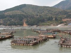 -小皓村