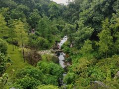 -云溪植物园