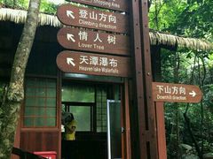 -七仙岭温泉国家森林公园