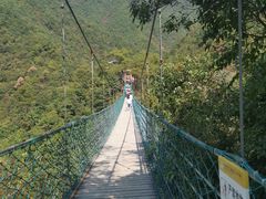 -遂昌金矿国家矿山公园
