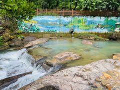 -广州白江湖森林公园