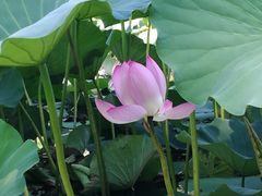 -奥林匹克森林公园南门-停车场