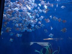 -沈阳海洋探索中心