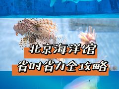 -北京海洋馆