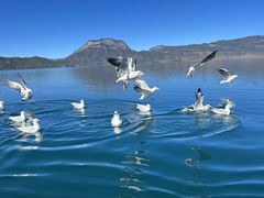 -丽江泸沽湖景区