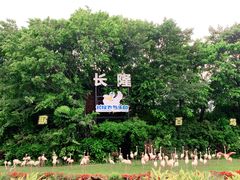 -广州长隆飞鸟乐园