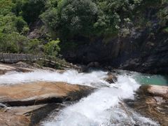 -广州白江湖森林公园