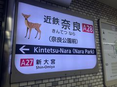 -奈良公园