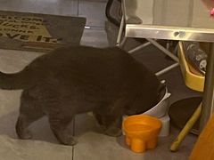 -吹泡·Triphop(棋盘店)