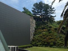 iphone_upload_pic-济州岛泰迪熊博物馆