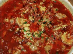 -紫光园·烤鸭·北京菜(劲松店)