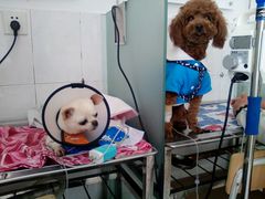 -畜牧兽医站(共江路店)