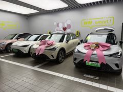 -上海浦东smart汽车全功能店(金桥店)