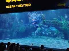 -郑州海洋馆