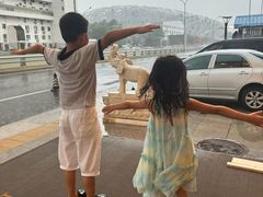 -北京国玉大酒店(鸟巢科技馆店)