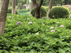 -金银湖国家城市湿地公园