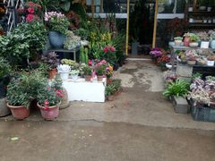 -桂林市花鸟市场