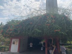 -洛阳周王城天子驾六博物馆