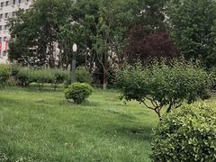 -丰台科技园生态主题公园