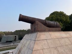 -上海吴淞炮台湾国家湿地公园