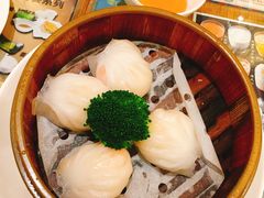 水晶鲜虾饺-香港新曜记茶餐厅(星耀城店)
