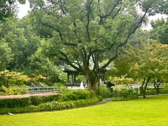 -申粤轩酒楼·三十年粤菜经典(丁香花园店)