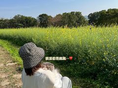 -光明小镇欢乐田园