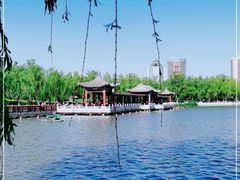-莲花池公园