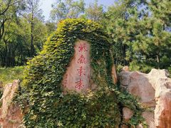 -竹子庵公园