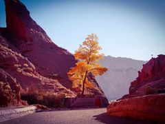 -天山神秘大峡谷