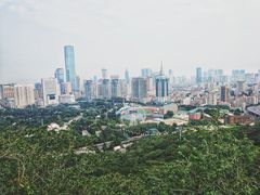 -富斯特索道