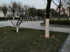 -木塔寺遗址生态公园