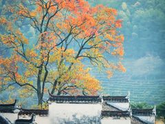 -塔川景区