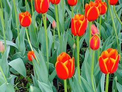 -长春公园(普阳街道)