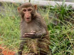 -重庆雨台山风景区