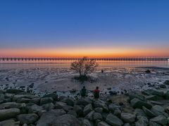 -宝安西湾红树林湿地公园