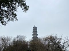 -巢湖姥山岛